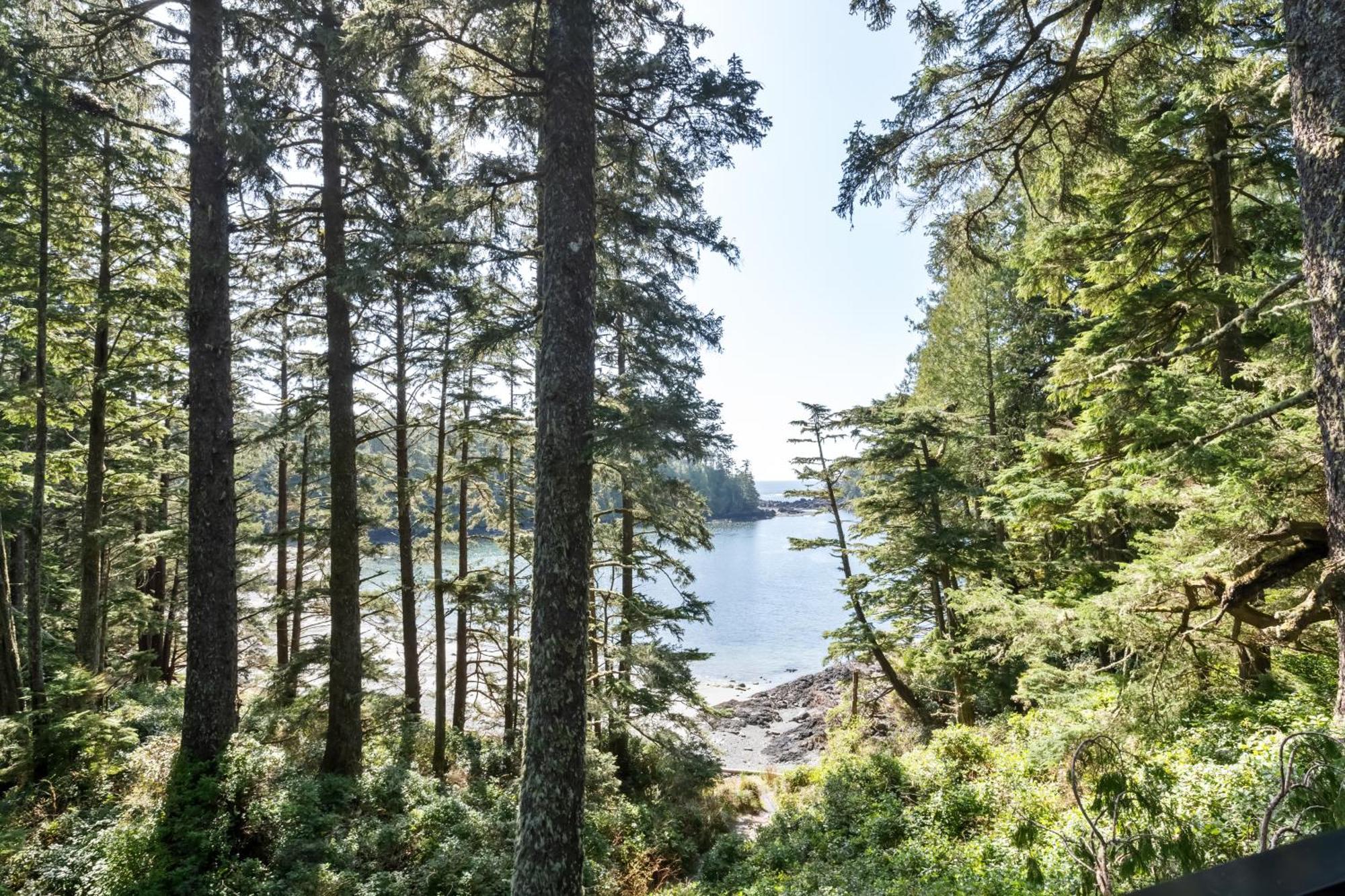 The Cabins At Terrace Beach Ucluelet Exterior foto